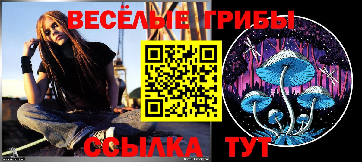 МЕФ Топки