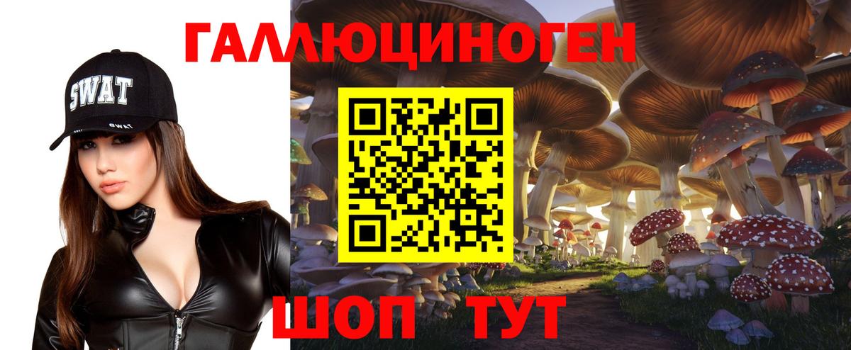 Топки  Псилоцибиновые грибы GOLDEN TEACHER  Вход с VPN 