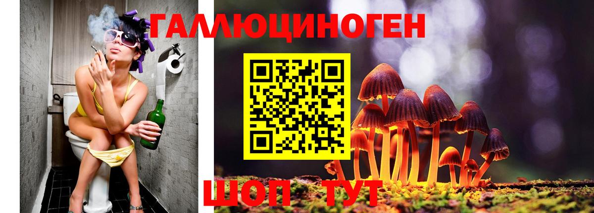 Псилоцибиновые грибы MAGIC MUSHROOMS Топки